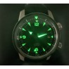 ANONYME COMPRESSOR AUTOMATIC AIGUILLES ET INDEX VERTS LUMINOVA